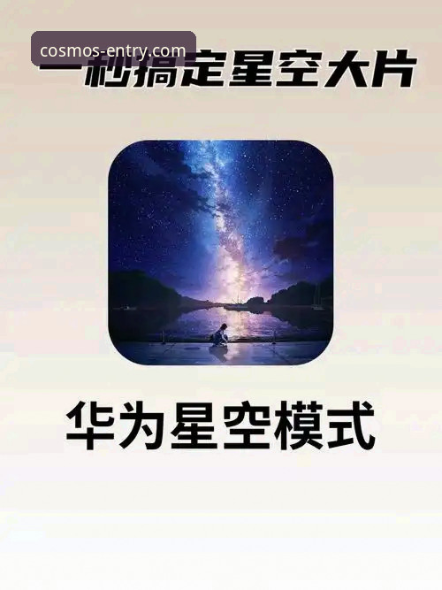 星空官网电脑版与手机版：哪个平台的操作效率更高？深度解析使用技巧