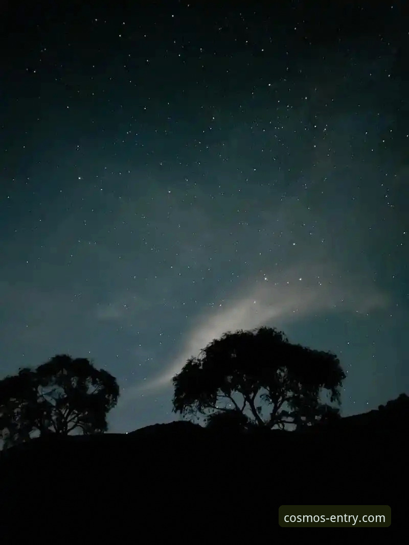 解决星空官网功能安装失败的3个核心步骤与5个常见原因分析